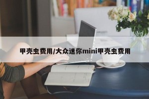甲壳虫费用/大众迷你mini甲壳虫费用