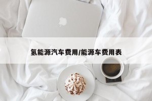 氢能源汽车费用/能源车费用表