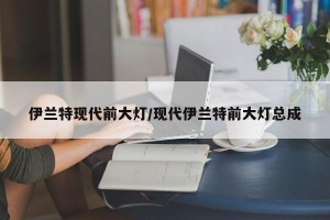 伊兰特现代前大灯/现代伊兰特前大灯总成