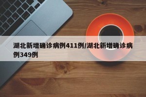 湖北新增确诊病例411例/湖北新增确诊病例349例