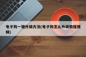 电子狗一键升级方法(电子狗怎么升级教程视频)